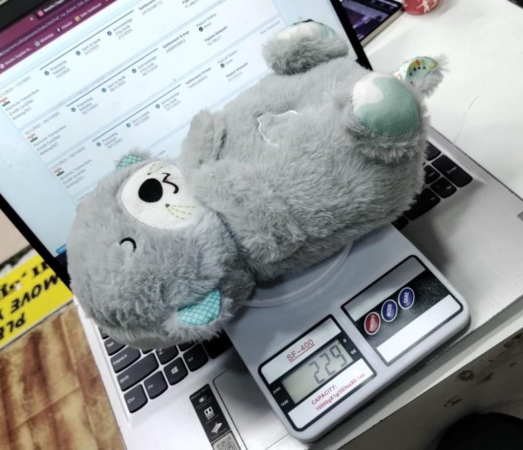 Breathing Teddy Bear Plushie
